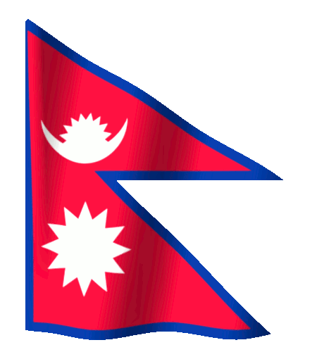 Training Management System waving flag